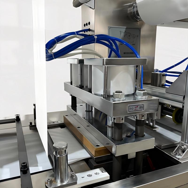 Double-Feed Foot Warmer Packaging Machine