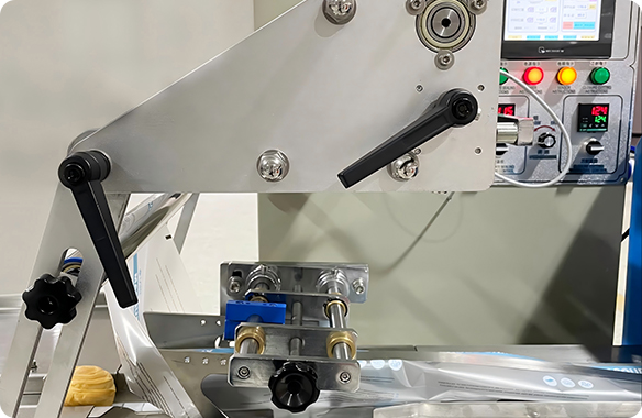 Multi-purpose Pillow Packing Machine